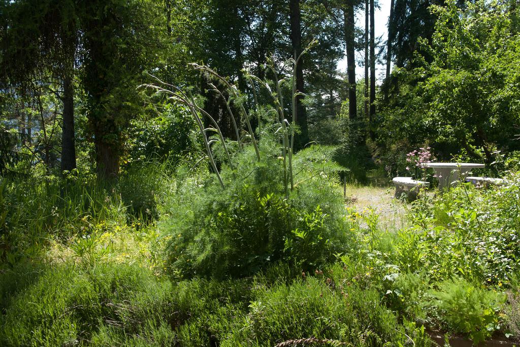 Pension Casa Selva Trin Bagian luar foto